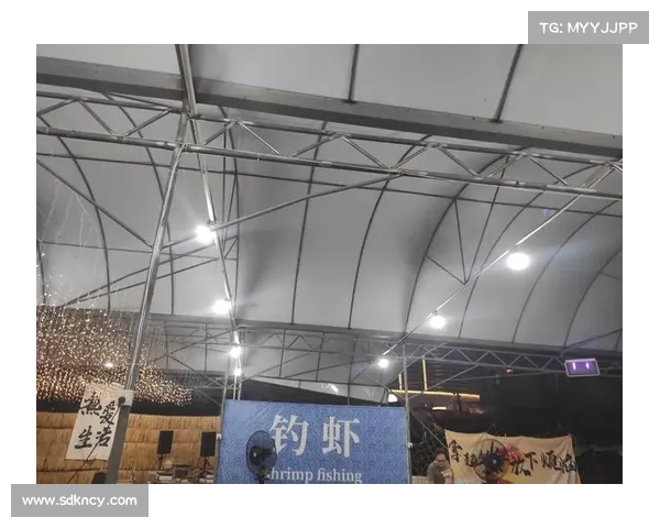 辽宁体育馆升级灯光弹性系统确保国家级赛事公平性与竞技环境优化 辽宁体育馆升级灯光弹性系统确保国家级赛事公平性与竞技环境优化